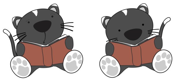 可爱的小猫咪抱着藏书集图片下载