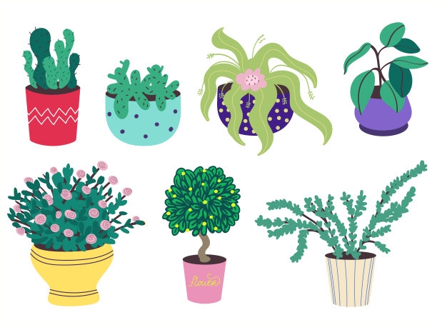 一套盆栽盆栽。仙人掌、榕树、玫瑰、盆景。花盆中的装饰性花卉和绿叶植物。园艺。孤立在白色背景上的花盆。平面矢量图例图片下载