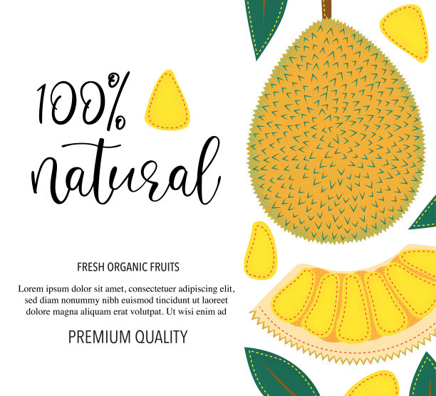 矢量背景与菠萝蜜，整体和块。矢量股票插图孤立在白色背景。卡片设计与水果。产品信息和文字100%自然。图片下载
