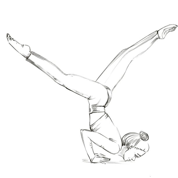 瑜伽。这个女孩双手站立，胳膊肘弯曲，两腿分开。女孩保持平衡。一个参加运动的女孩的轮廓图。图片下载