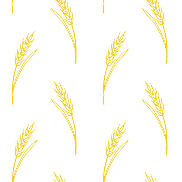 小麦小穗，载体无缝模式。用素描的方式画的轮廓。秋天的背景和纹理。设计面料、包装纸、包装主题围绕烘焙产品、面粉、丰收图片下载