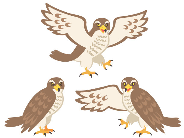 插图一套鹰图片下载