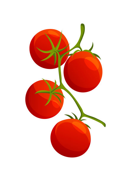 奇瑞番茄。新鲜健康的红番茄，平铺风格。素食。蔬菜来自农场。有机食品。番茄矢量图图片下载
