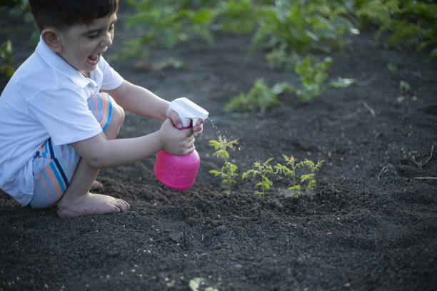 年轻的植物图片下载