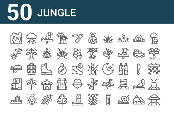 一套50个丛林图标。勾勒出细线图标，如树、毛虫、瀑布、变色龙、足迹、雷雨、蚂蚁、瓢虫、靴子、竹子图片下载