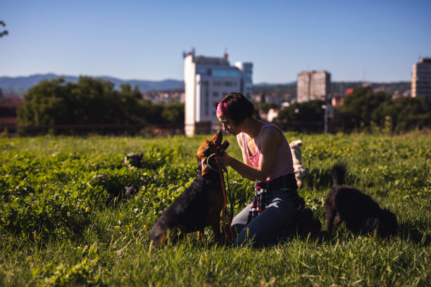 女人和狗在公园里坐在草地上互相看着图片下载