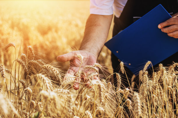60岁的胡子农夫素材图片