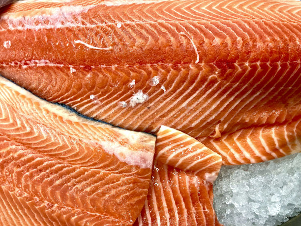 冰镇鲜鲑鱼片图片下载