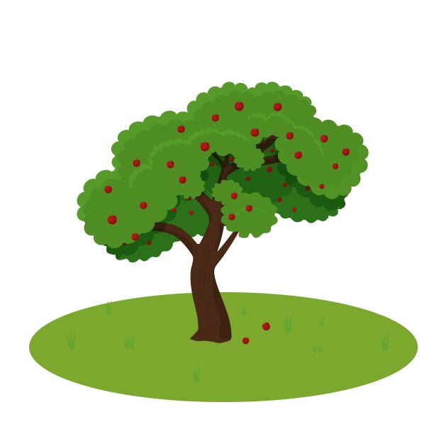 苹果树详细，彩色孤立在白色背景股票矢量插图。有机水果，收获，园艺概念图片下载