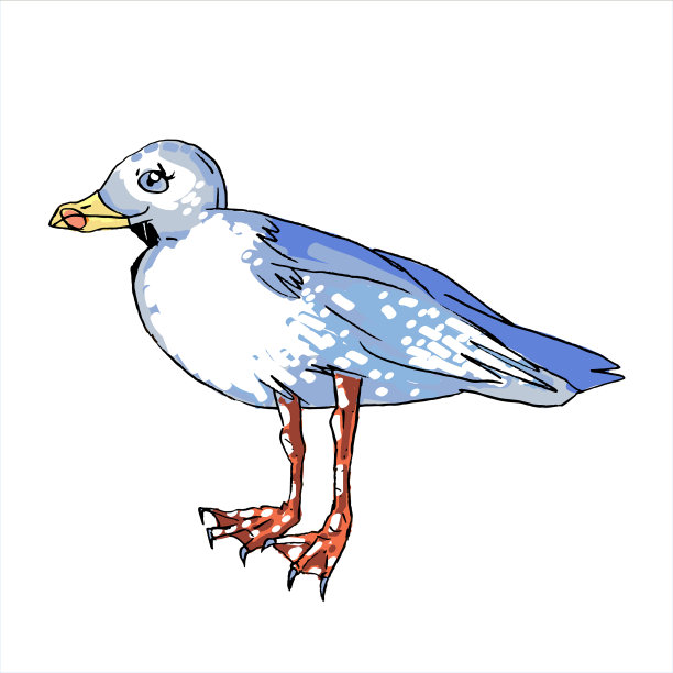 矢量股票插图海鸥在白色的背景。图片下载
