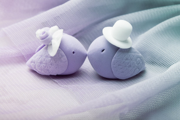 薄纱背景上的装饰性鸟类。婚礼当天的概念图片下载