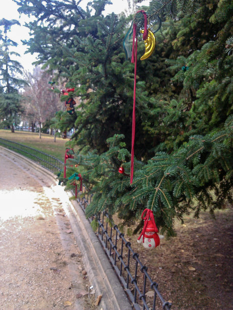 城市公园里圣诞树上的圣诞装饰品图片下载