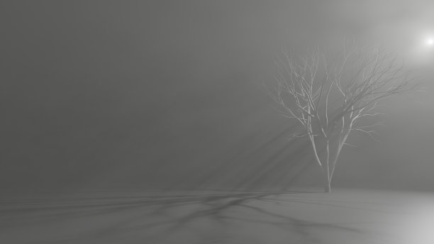 树和雾图片下载