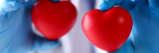 外科医生戴着蓝色手套，上面有两个红色的玩具心脏图片下载