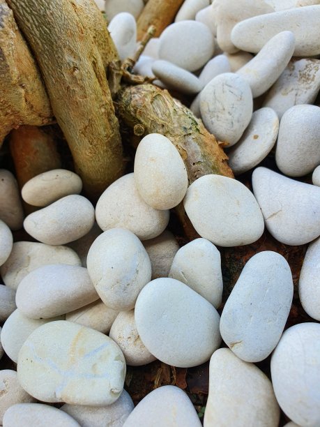 天然白色鹅卵石的特写照片，股票照片。图片下载