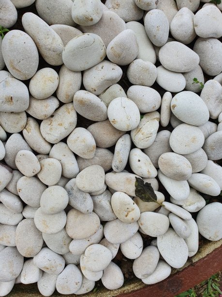 天然白色鹅卵石的特写照片，股票照片。图片下载