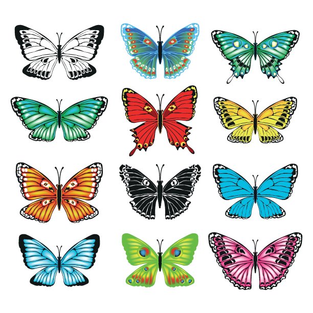 一组彩色的蝴蝶在白色的背景图片下载