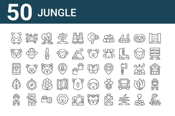 一套50个丛林图标。勾画细线图标，如鹦鹉，探险家，树叶，智能手机，熊猫熊，藤蔓，蝴蝶，火烈鸟，美洲虎，刺猬图片下载
