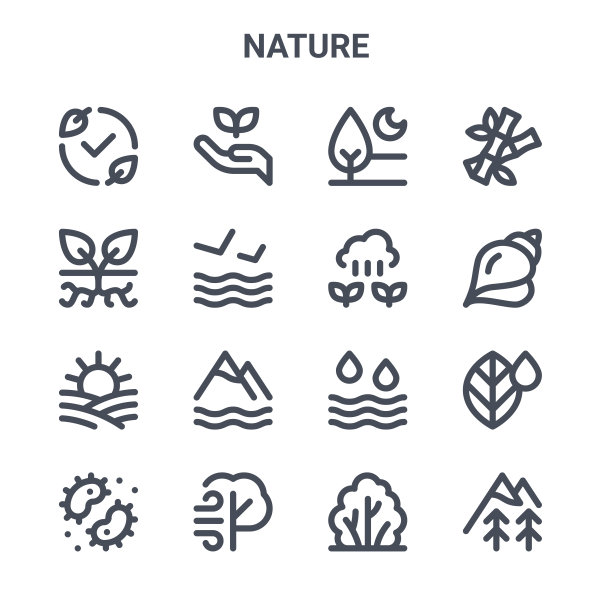 一组16个自然概念向量线图标。生态、植物、贝壳、水、风、山、灌木、芽、竹等图标图片下载