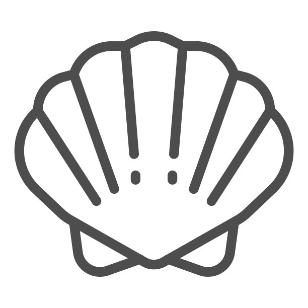 贝壳线图标，海洋概念，贝类贝壳标志在白色背景，贝壳图标轮廓风格的移动概念和网页设计。矢量图形。图片下载