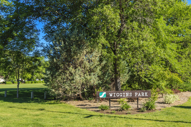 •威金斯公园图片下载