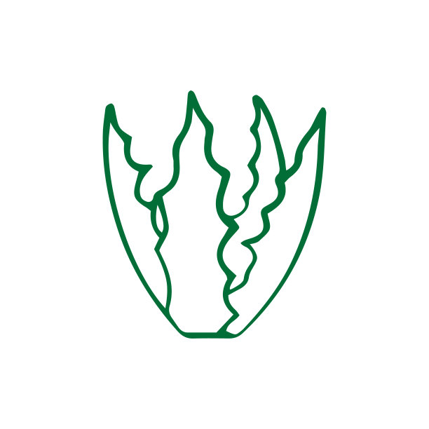 涂鸦芦荟图标孤立在白色。手绘线条艺术。草图。轮廓矢量股票插图。每股收益10图片下载