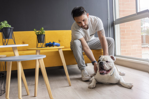 一个人和他的狗玩图片下载