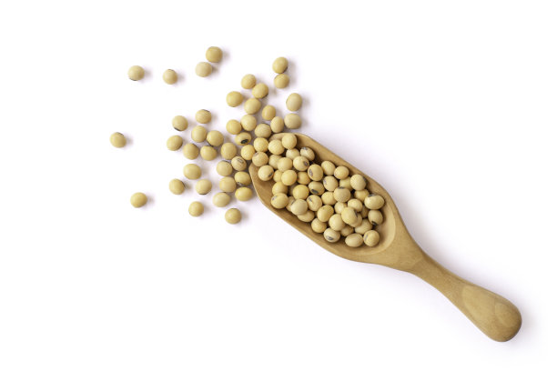 我是bean图片下载