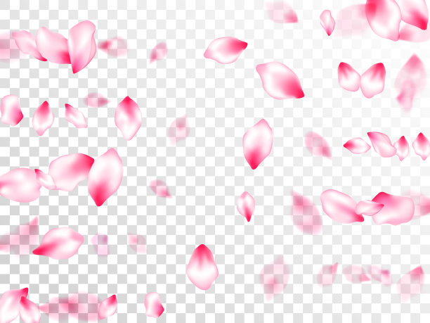 日本樱花的粉红色飞花图片下载