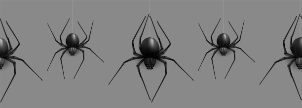 收集蜘蛛，蜘蛛网，孤立的背景。图片下载