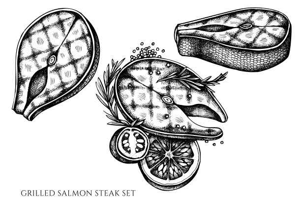 矢量集手绘黑白烤鲑鱼排图片下载
