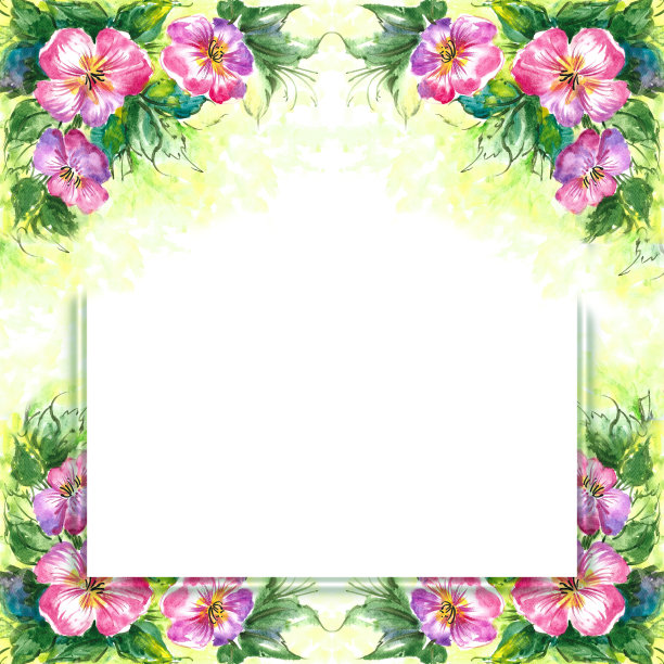 装饰水彩花卉点缀。花插图，叶和芽。夏季花的背景阳光和一个地方的照片或复制空间的插图图片下载