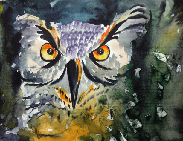 水彩图像美丽的肖像欧洲鹰猫头鹰。黄色的大眼睛。图片下载