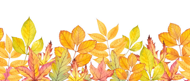 无尽的金叶镶边。图片下载