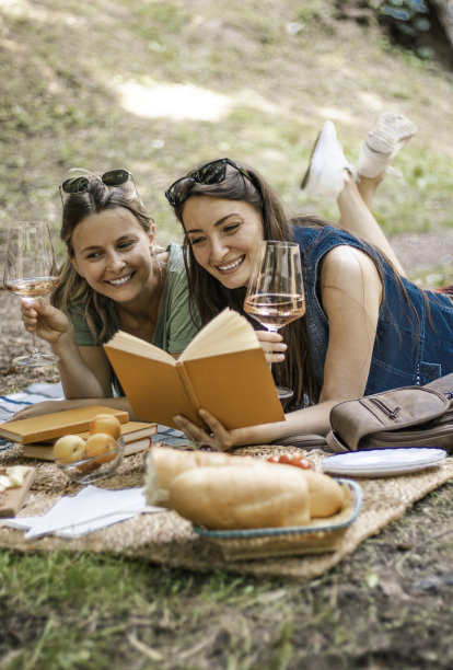 两个快乐的年轻女人在野餐喝葡萄酒在公园股票照片图片下载