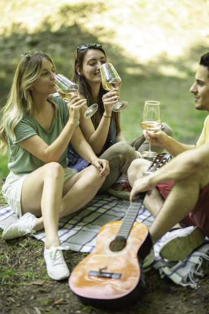 朋友在野餐喝葡萄酒和弹吉他在公园股票的照片图片下载