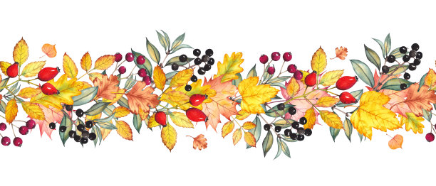 无缝边框与多彩的秋叶和浆果。图片下载