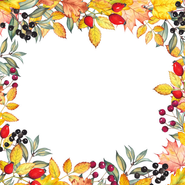 方形框架与秋天的树叶和浆果。图片下载