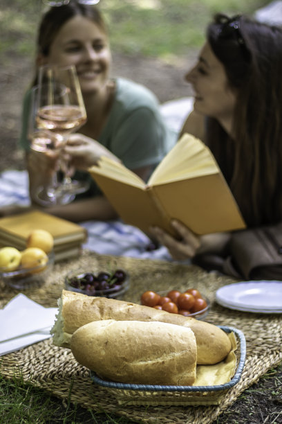 两个快乐的年轻女人在野餐喝葡萄酒在公园股票照片图片下载