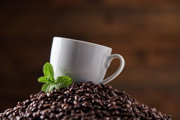 一小枝薄荷可以增添新的风味图片下载