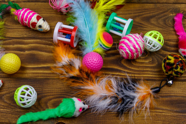 一套玩具的猫在木制背景图片下载