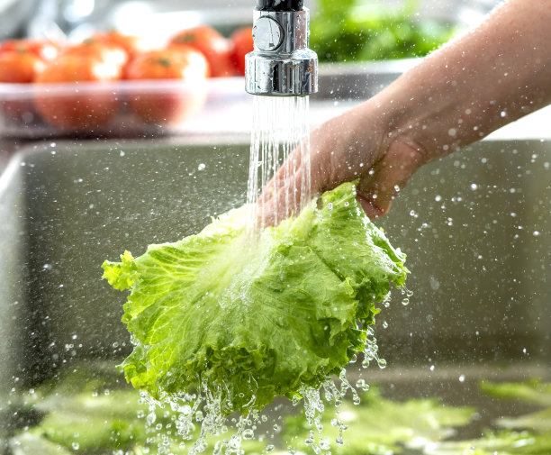 洗蔬菜图片下载