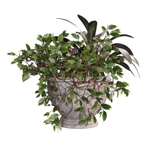 3D插图户外种植白色图片下载