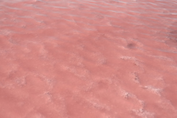 粉色盐的质地。粉色湖泊的特写。图片下载