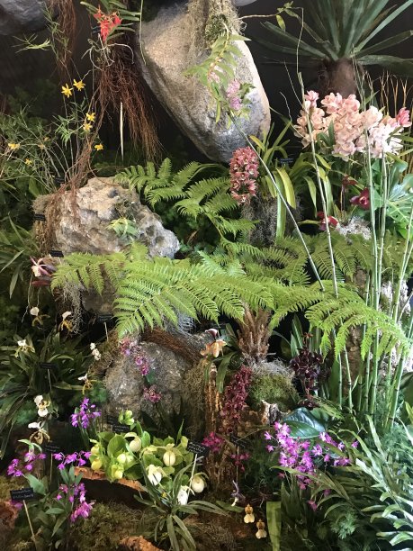 植物成分图片下载