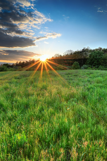 在美丽的绿色风景中落日的景色。图片下载