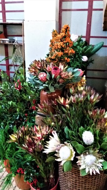 马德拉农贸市场上五颜六色美丽的花朵图片下载