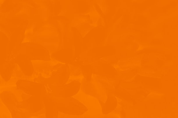 明亮的橙色背景与花卉图案，色调的照片图片下载