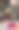美丽的花里面的黑色壁炉花卉图片图片下载