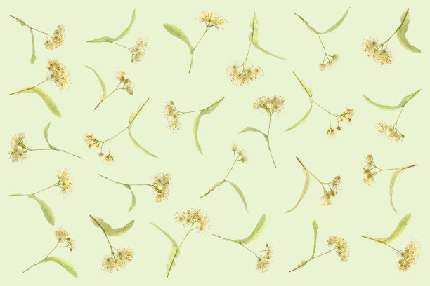 石灰花地毯作为壁纸图片下载